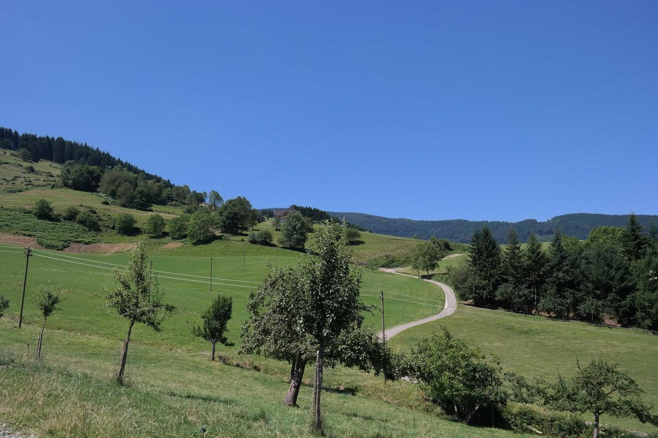 Maierhof Βίλα Oberried  Εξωτερικό φωτογραφία