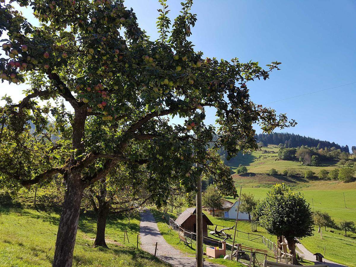 Maierhof Βίλα Oberried  Εξωτερικό φωτογραφία